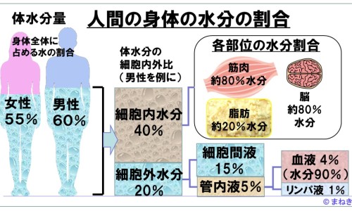 荷花池中药材价格表-荷花池中药材网网—知名的荷花池中药材批发市场在哪里网站,分享荷花池中药材批发市场知识